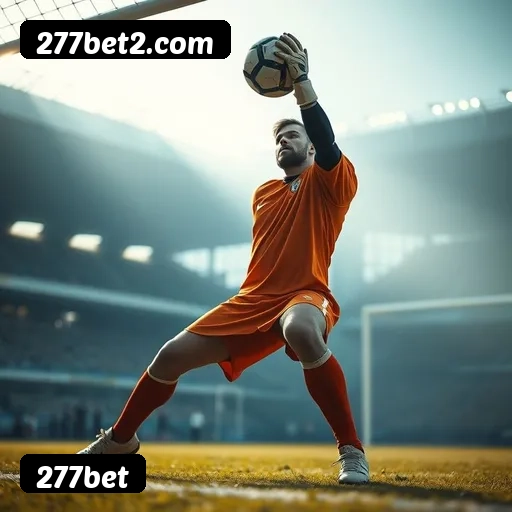 Suporte 24 horas 277bet